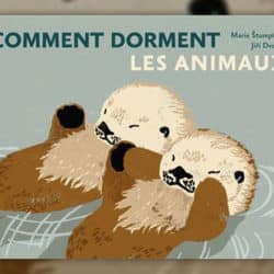 Comment-dorment-les-animaux-