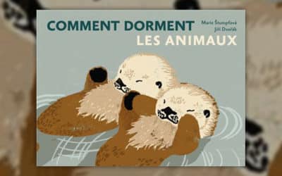 Jiri Dvorak, Comment dorment les animaux