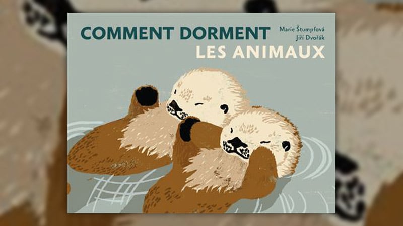 Comment-dorment-les-animaux-