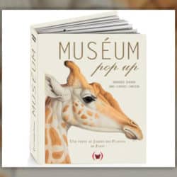Museum-pop-up-
