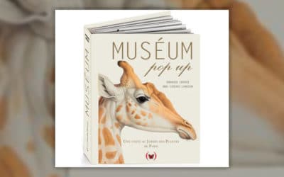 Anne-Florence Lemasson et Dominique Ehrhard, Museum pop-up