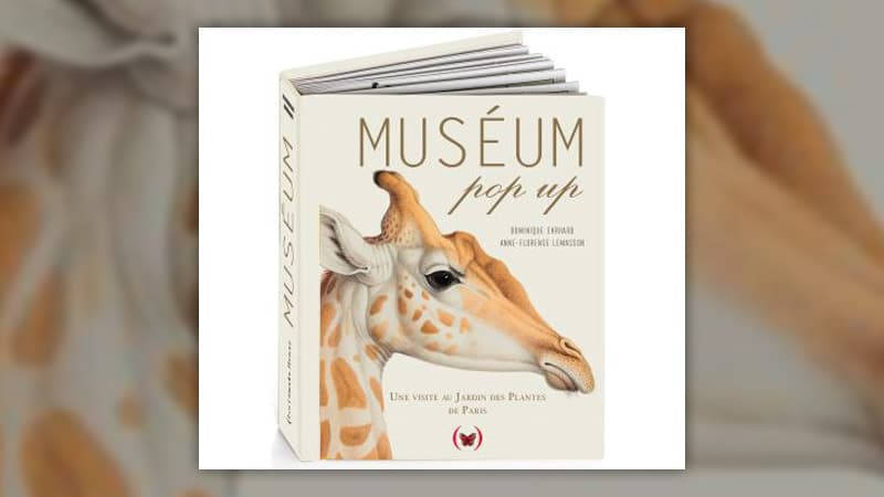 Museum-pop-up-