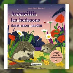 Accueillir-les-herions-dans-mon-jardin-