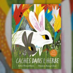 Caches-dans-l-herbe-