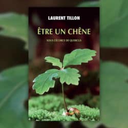 Etre-un-chene-