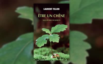 Laurent Tillon, Être un chêne – Sous l’écorce de Quercus