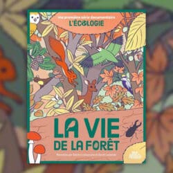 La-Vie-de-la-foret-