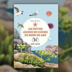 Les-petites-lecons-de-choses-du-bord-de-mer-