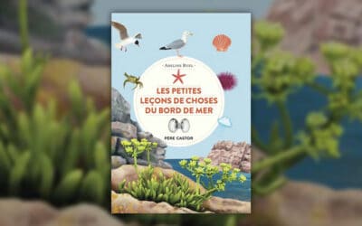 Adeline Ruel, Les petites leçons de choses du bord de mer