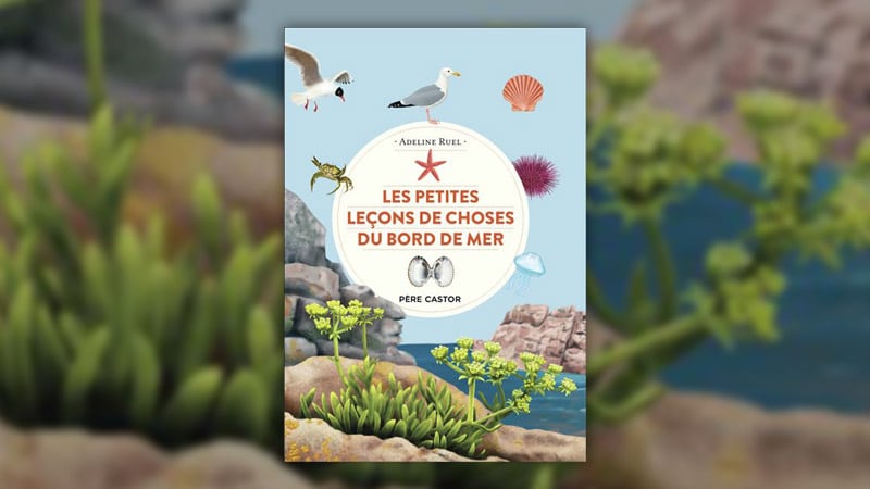 Adeline Ruel, Les petites leçons de choses du bord de mer