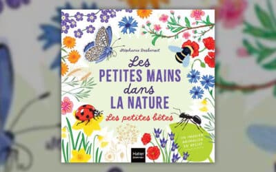 Stéphanie Desbenoit, Les petites mains dans la nature – Les petites bêtes