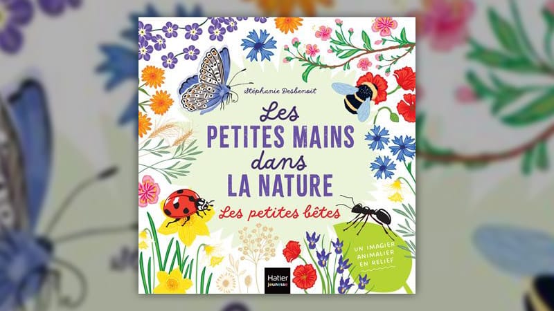 Stéphanie Desbenoit, Les petites mains dans la nature – Les petites bêtes