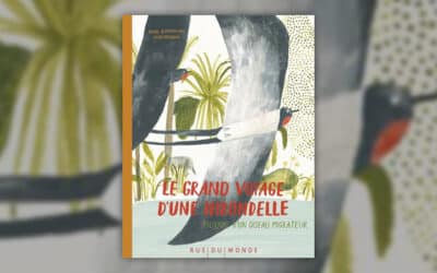Pavel Kvartalnov, Le grand voyage d’une hirondelle – Journal d’un oiseau migrateur
