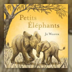 Petits-elephants-