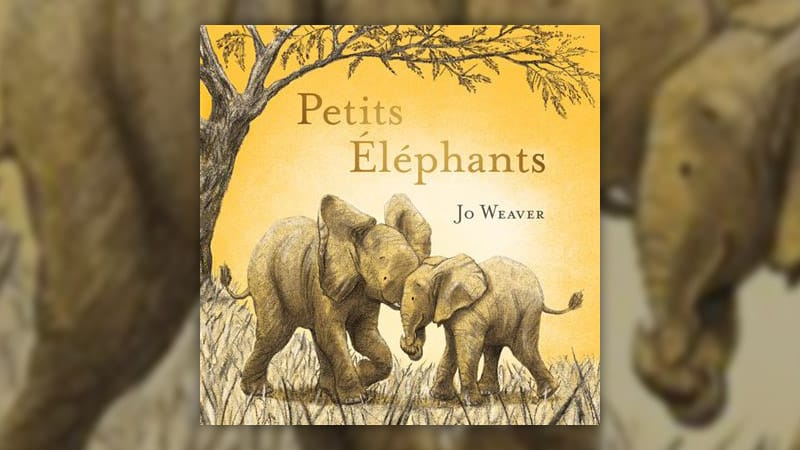 Petits-elephants-