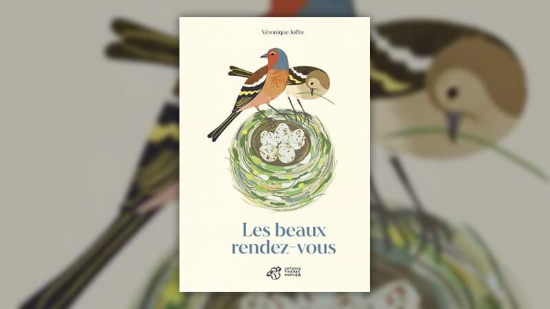 Les-beaux-rendez-vous-