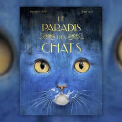 Le-paradis-des-chats-
