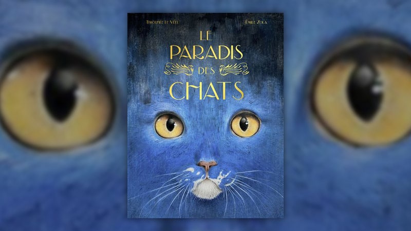 Le-paradis-des-chats-