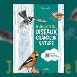 Je-decouvre-les-oiseaux-grandeur-nature-
