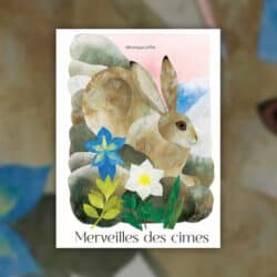 Merveilles-des-cimes-