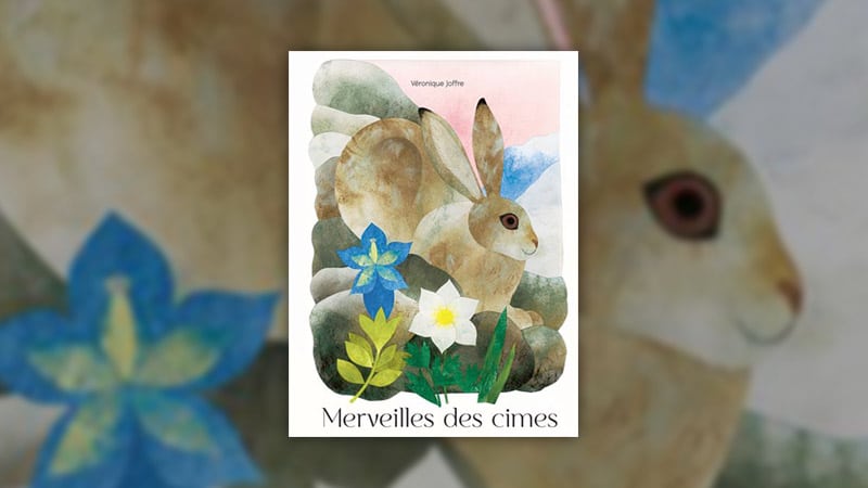 Merveilles-des-cimes-