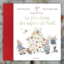 Le-plus-beau-des-sapins-de-Noel-