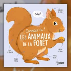 les-animaux-de-la-foret-
