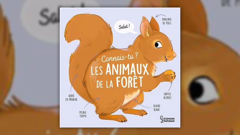 les-animaux-de-la-foret-