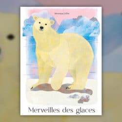 Merveilles-des-glaces-