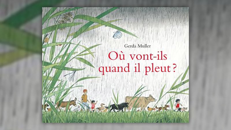 gerda-muller-ou-vont-is-quand-il-pleut-