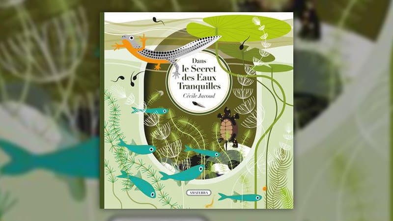 Cécile Jacoud, Dans le secret des eaux tranquilles