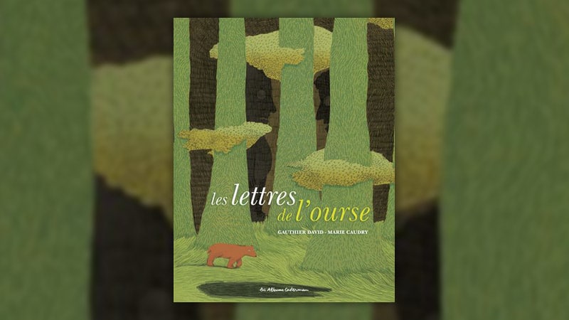 Les-lettres-de-l-ourse-